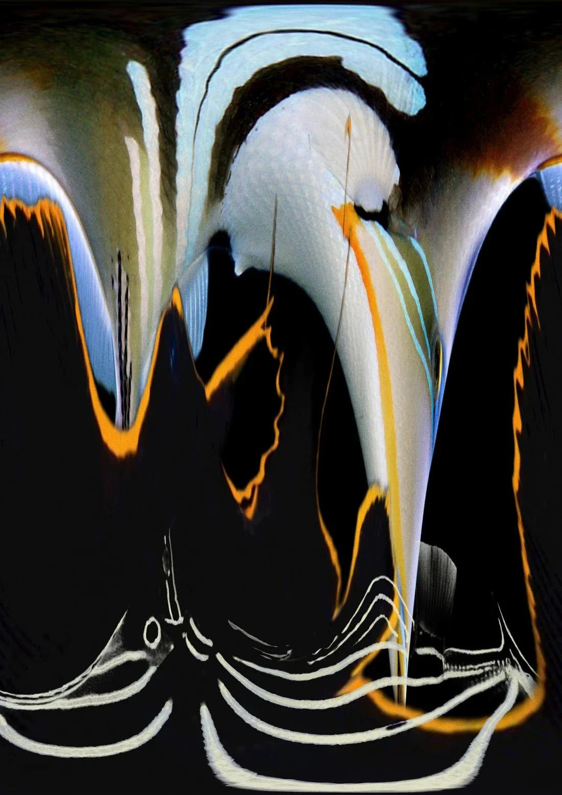 Reef
